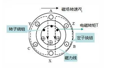 异步电动机的工作原理